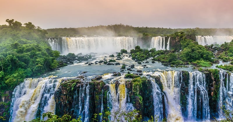 Écotourisme en forêt tropicale : vivez des expériences uniques au cœur de la jungle