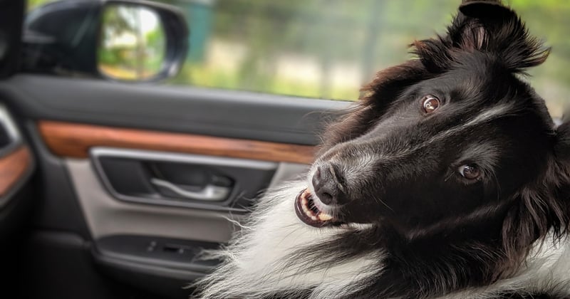 Road trip en famille avec ados : l’itinéraire ultime pour les embarquer