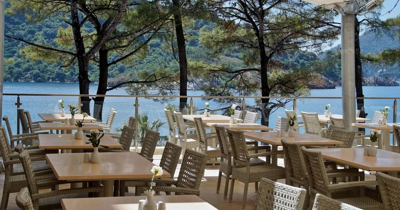 Que faire en solo : activités et bonnes tables