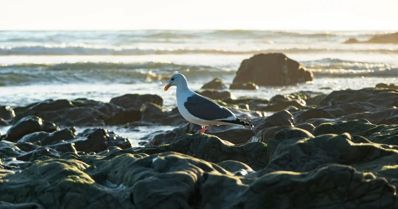 Cinq destinations où la nature domine encore