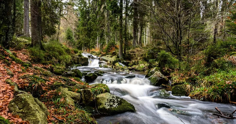 Les cascades spectaculaires : lesquelles choisir selon votre niveau