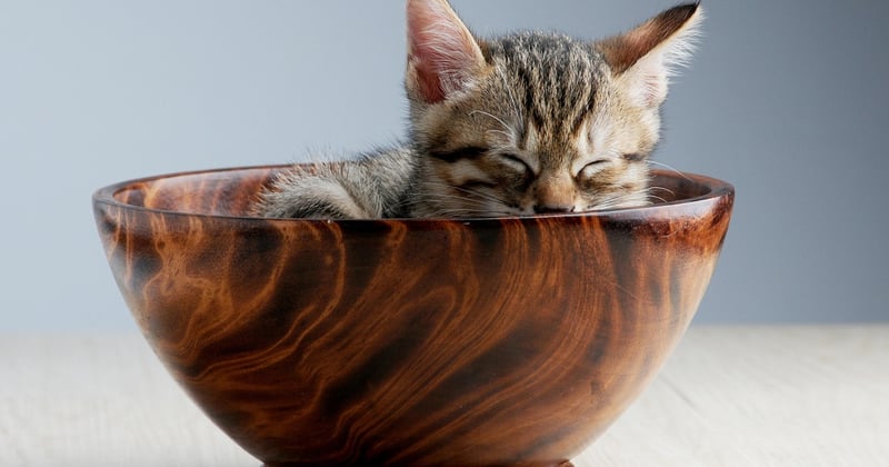 Dormir dans un phare ou une yourte : vivez des expériences insolites